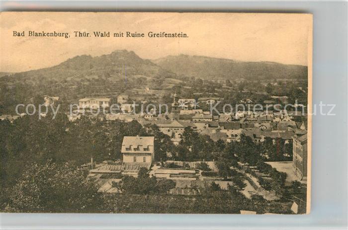 Blankenburg Bad Panorama Ruine Greifenstein