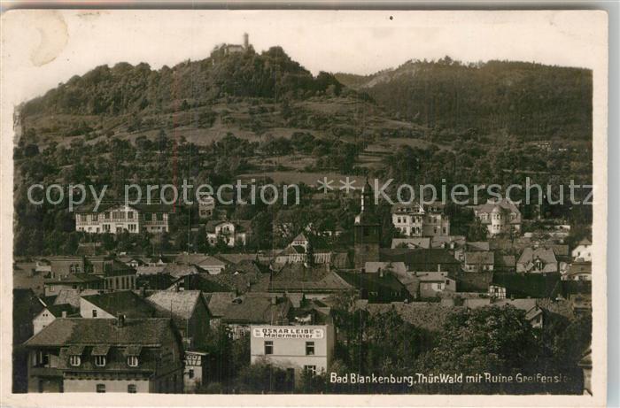 Blankenburg Bad Panorama Ruine Greifenstein