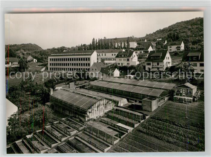 Boppard Rhein Rudi Decker Gartenbaubetriebe