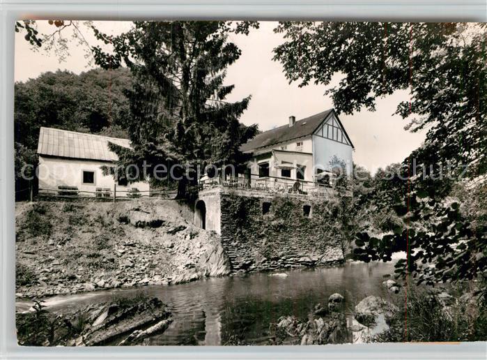 Wittlich Alte Pleiner Muehle