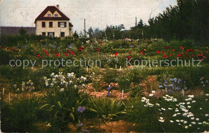 Oberpleis Juengsfelder Baumschulen