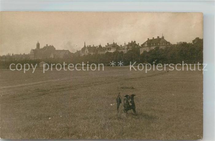 Muenchen Bayern Panorama Hund