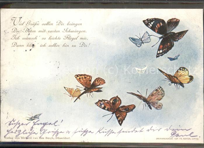 Schmetterlinge Gedicht