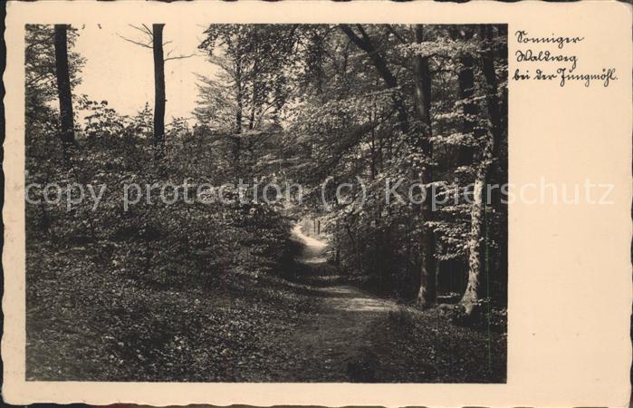 Plau See Waldweg an der Lebens- und Erholungsstä