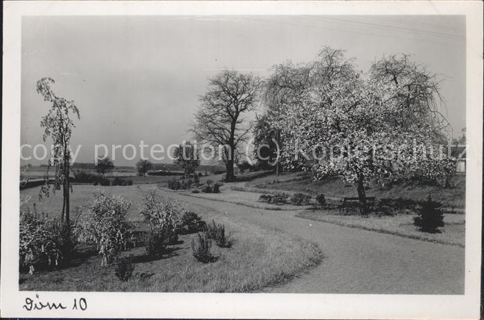 Doemitz Anlagen an der Elbe Baumblüte