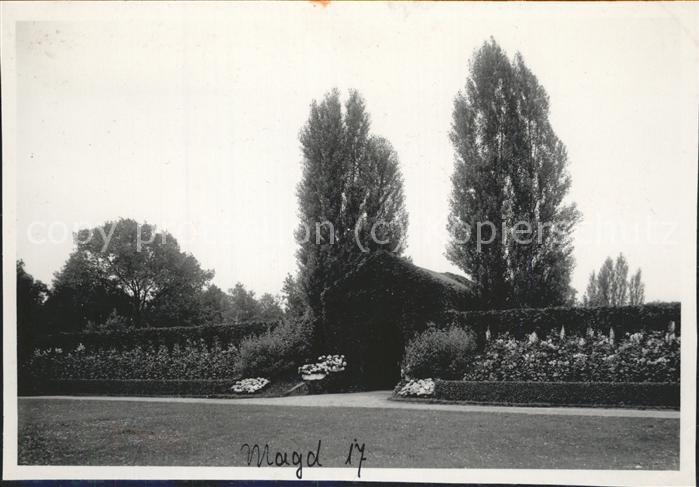 MAGDEBURG  CITY Teilansicht Freilichttheater