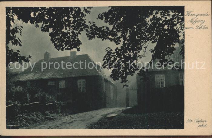 Wernigerode Harz Aufgang zum Schloss