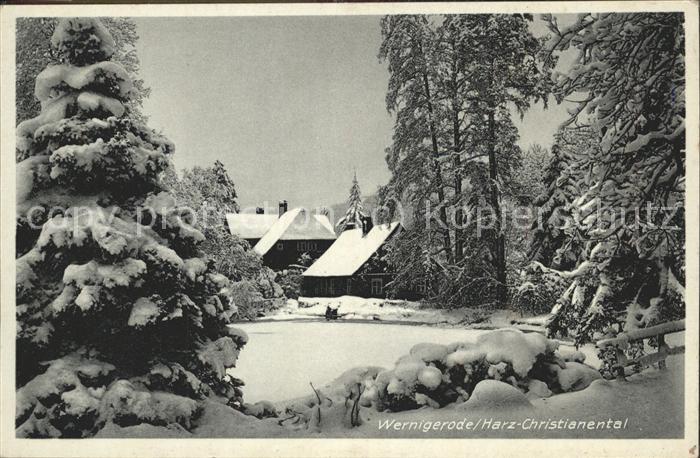 Wernigerode Harz Christianental im Winter