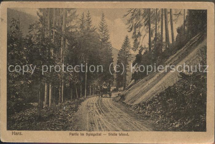 Halberstadt Partie im Spiegelthal