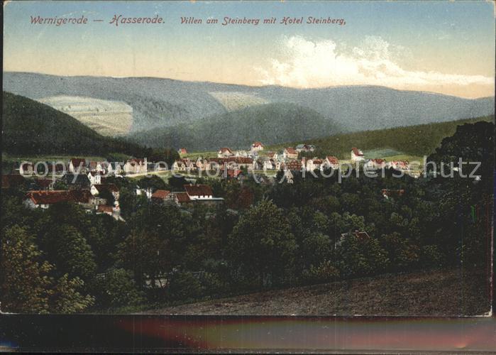 Wernigerode-Hasserode Villen am Steinberg