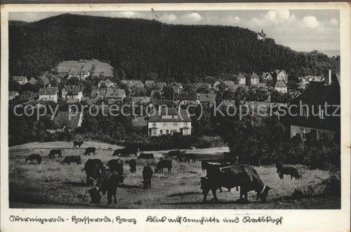 Wernigerode-Hasserode Blick auf Sennhütte im Vordergrund weid