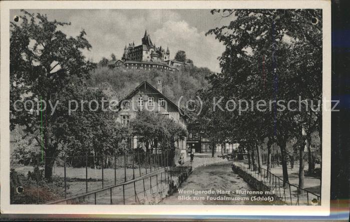 Wernigerode Harz Zilierbach mit Blick auf das Feudalmuse