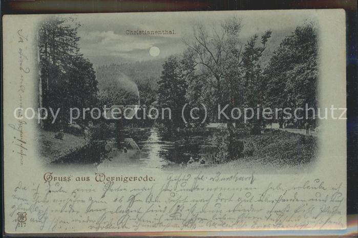 Wernigerode Harz Christianental bei Nacht