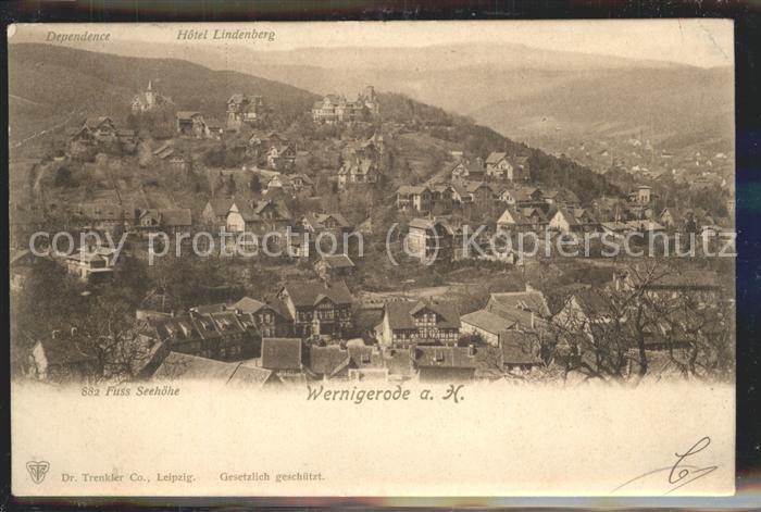 Wernigerode Harz Panorama Schloss Hotel Lindenhof