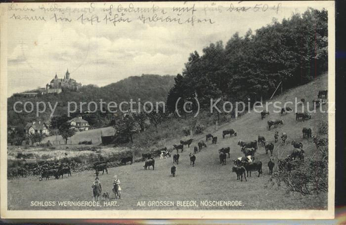 Wernigerode Harz Schloss am grossen Bleeck Noeschenrode Kuehe