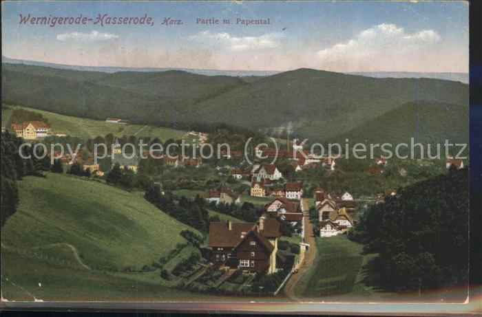 Wernigerode Harz Fliegeraufnahme mit Papental