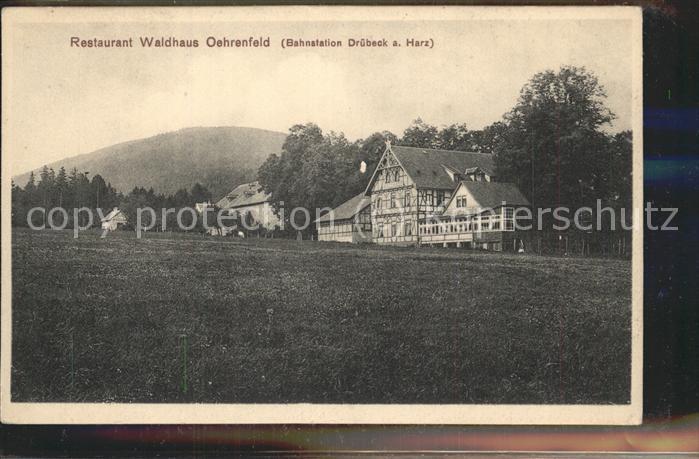 Oehrenfeld Harz Restaurant Waldhaus