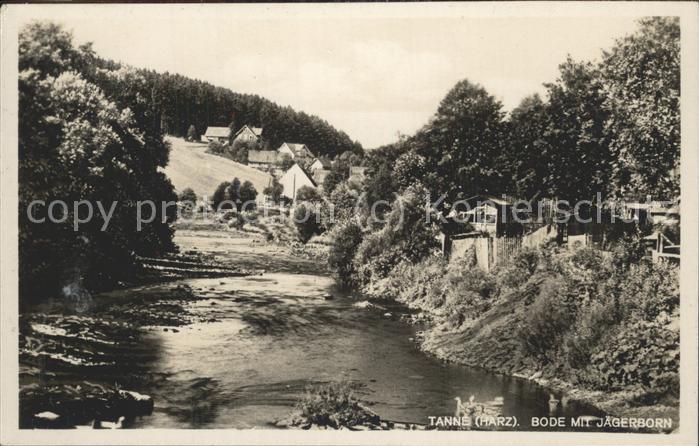 Tanne Harz Bode mit Jägerborn