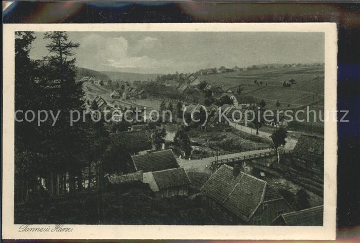 Tanne Harz Panorama