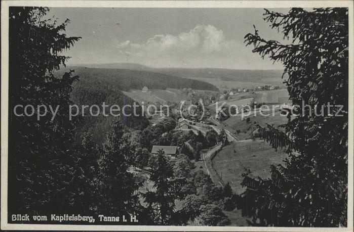 Tanne Harz Blick vom Kapitelsberg