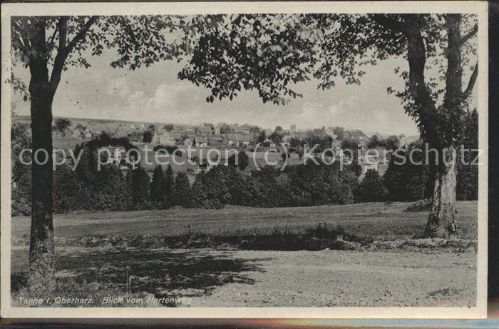 Tanne Harz Blick vom Hartenweg