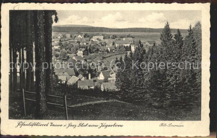 Tanne Harz Blick vom Jägerborn