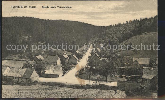 Tanne Harz Strasse nach Trautenstein