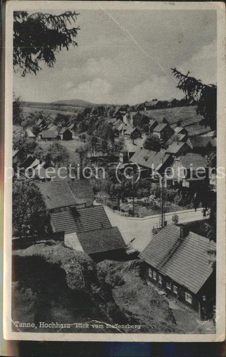 Tanne Harz Blick vom Steffensberg