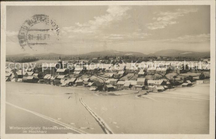 Benneckenstein Panorama im Schnee