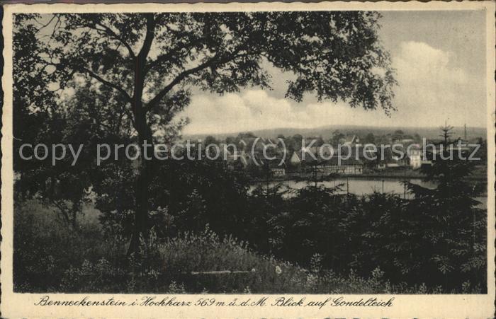 Benneckenstein Blick auf Gondelteich