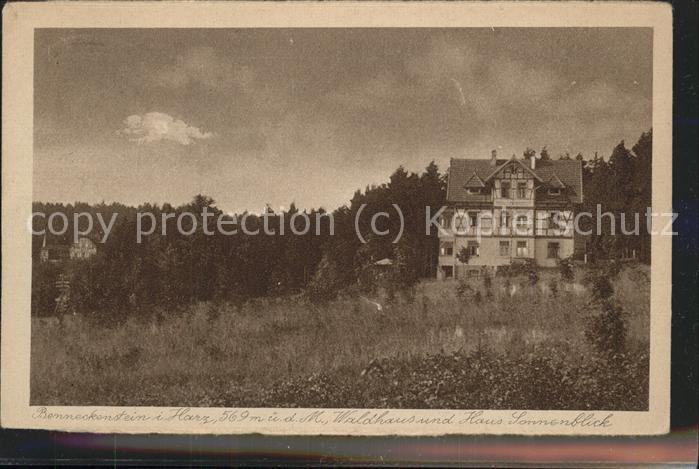 Benneckenstein Waldhaus Haus Sonnenblick