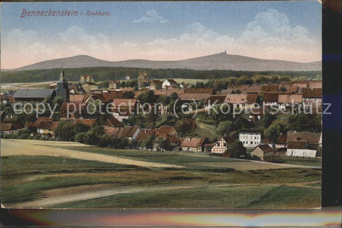 Benneckenstein Panorama