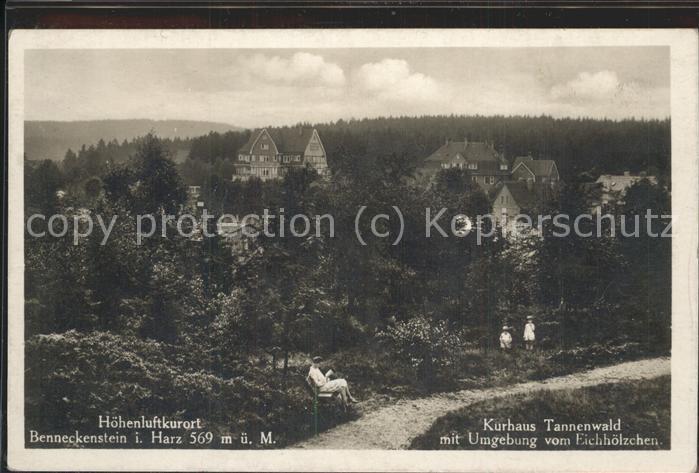 Benneckenstein Kurhaus Tannenwald Kinder