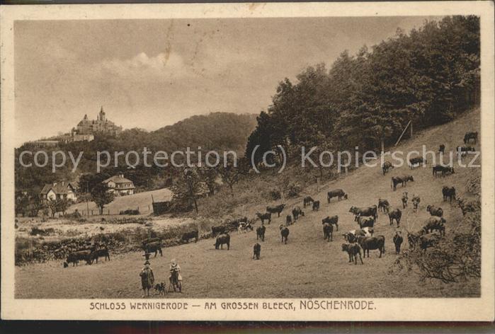 Wernigerode Harz Am Grossen Bleeck Nöschenrode Kühe