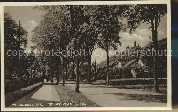 Wernigerode Harz Schloss vom Mühlental