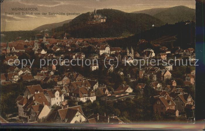 Wernigerode Harz Panorama mit Schloss von Sennhütte gese
