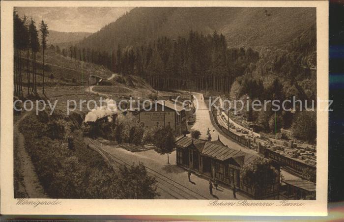 Wernigerode Harz Steinerne Renne Dampflok Eisenbahn Bahn