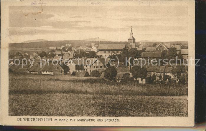 Benneckenstein Panorama mit Wurmberg und Brocken