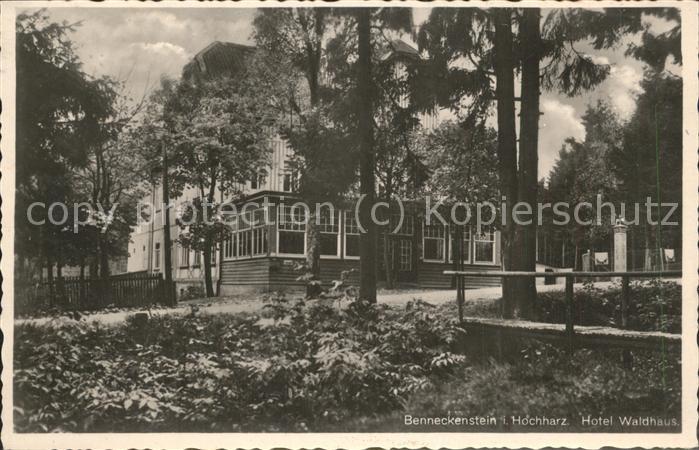 Benneckenstein Hotel Waldhaus H. Scharnweber