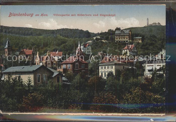 Blankenburg Harz Villenviertel mit Silberhorn u.Ziegenko
