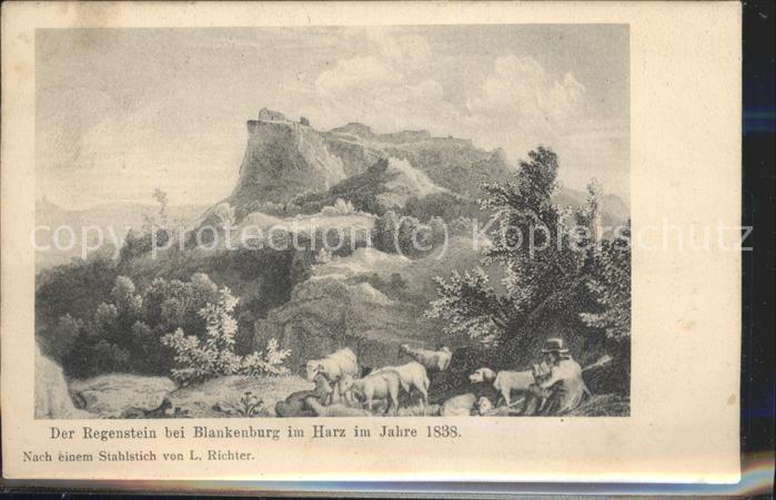 Blankenburg Harz Burgruine Regenstein