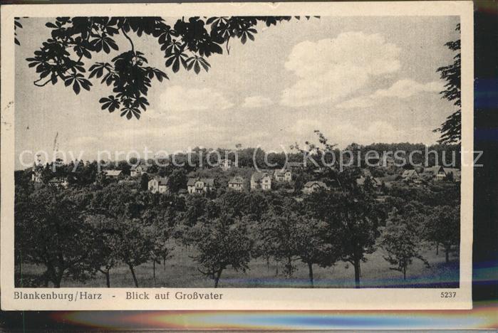 Blankenburg Harz Blick auf Großvater