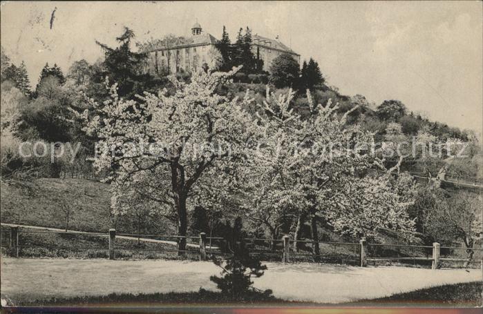 Blankenburg Harz Herzogl.Schloß