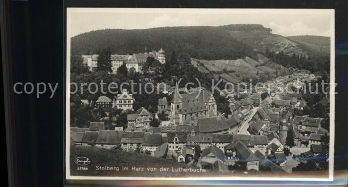 Stolberg Harz Lutherbuche