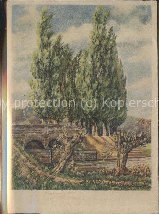 Ditfurt Pappelallee Kuenstlerkarte M.Schewe