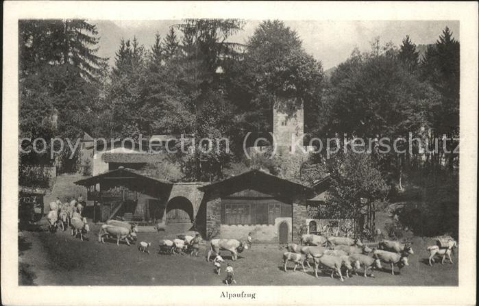 Interlaken BE Tell-Freilicht-Spiele Alpaufzug