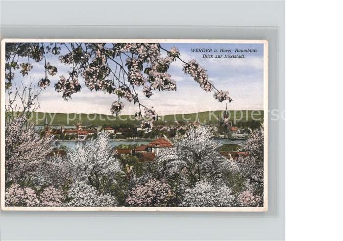 Werder Havel Baumblüte