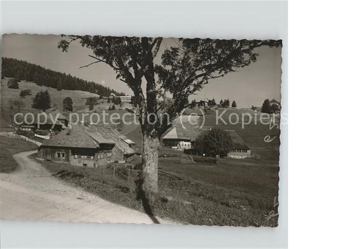 Todtnauberg Schwarzwald BW Schwarzwaldhaeuser