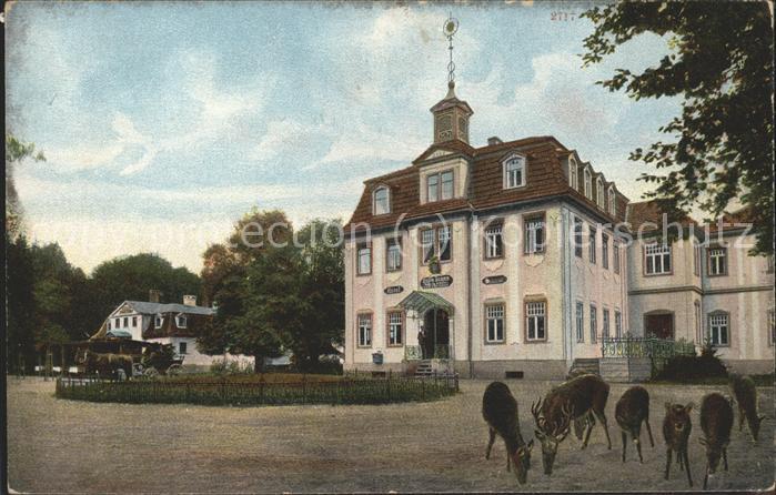 Eisenach Thueringen Gasthaus Hohe Sonne Rehe