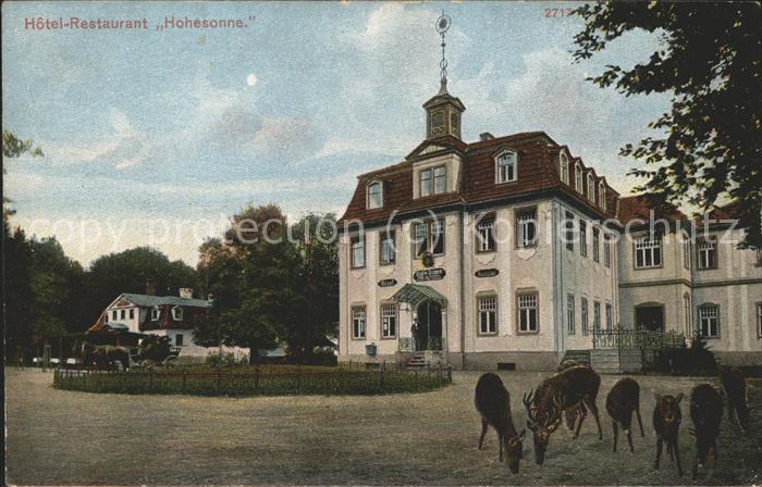 Eisenach Thueringen Hotel Hohesonne Rehe